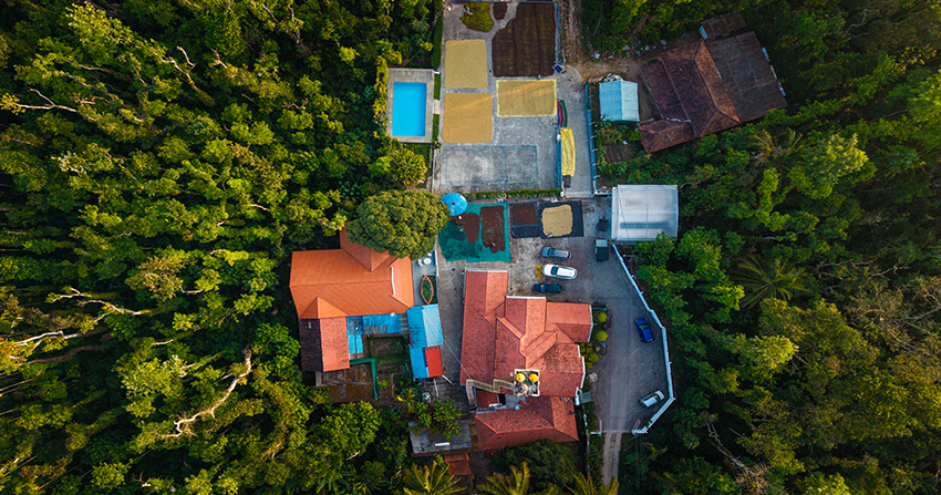Holiday Homes in chikmagalur
